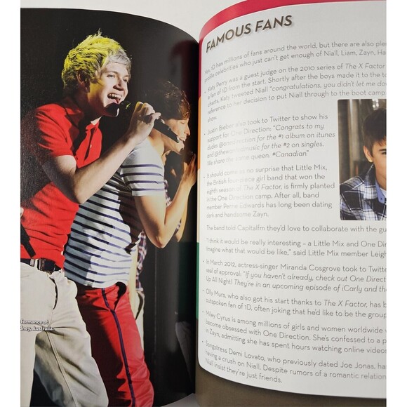 ONE DIRECTION Pop Boy Band The Big Book Mary Boone 2012 Hardcover Unread VGC! - Picture 4 of 10